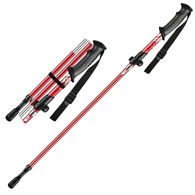 Bâtons de randonnée performance technique