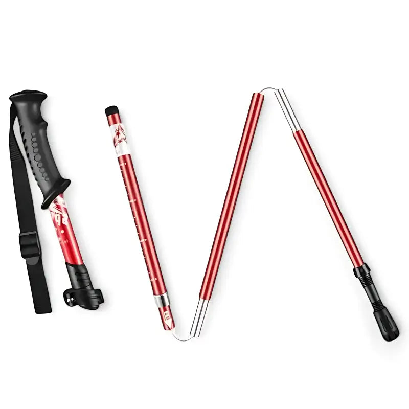 Bâtons de randonnée performance technique