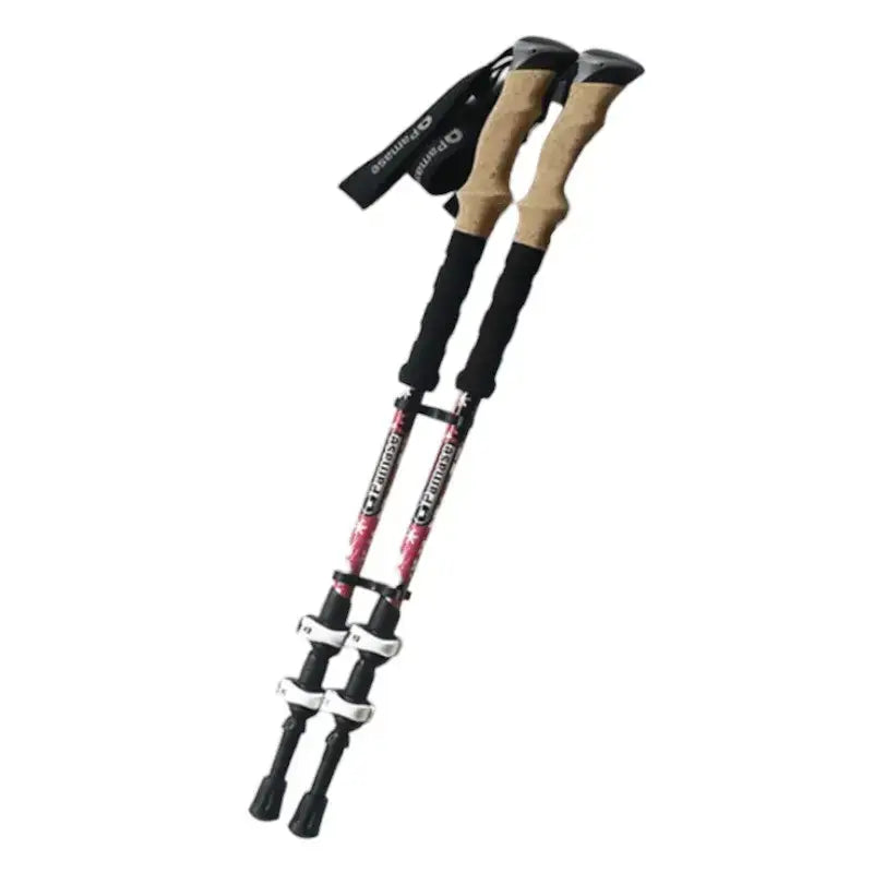 Bâtons de trail haute qualité