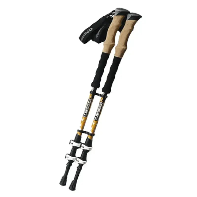 Bâtons de trail haute qualité