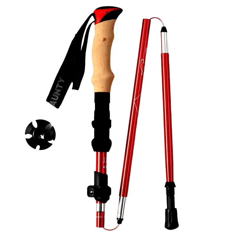 Bâtons de trail longue