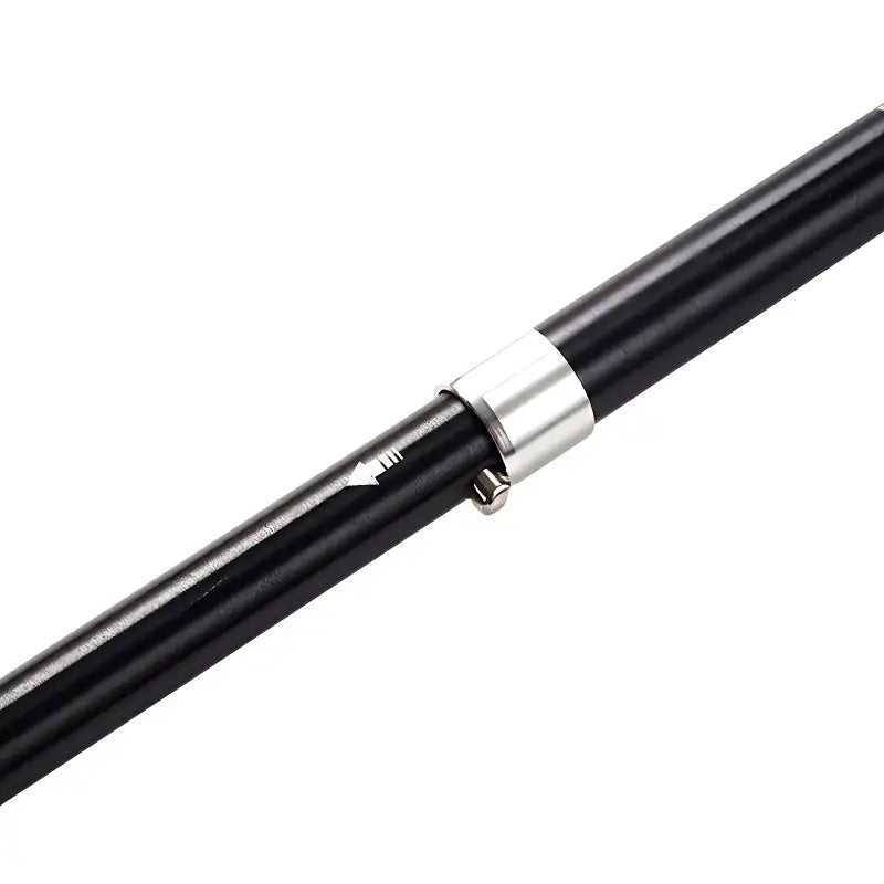 Bâtons de trail longue