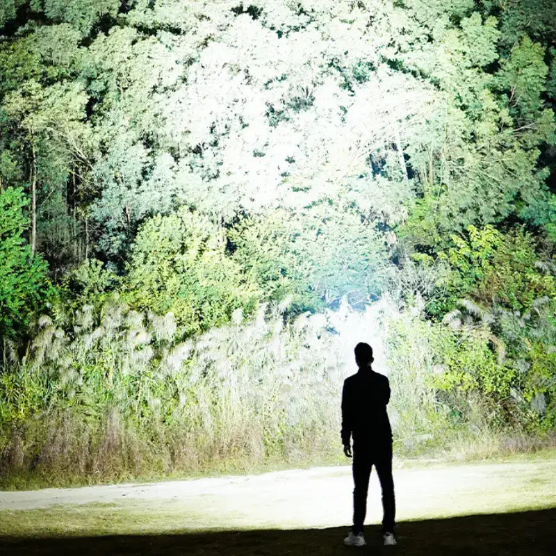 Lampe torche rechargeable puissant