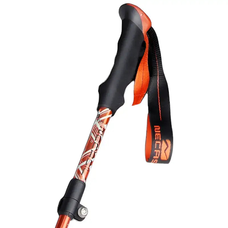 Bâtons de trail bivouac aventure