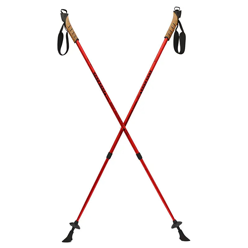 Bâton marche nordique randonnée aluminium 6061