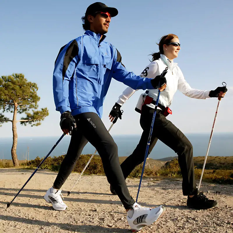 Bâton pliable randonnée trekking polyvalent