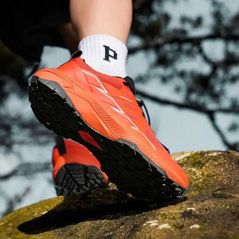 Chaussure de marche terrain escarpé robuste