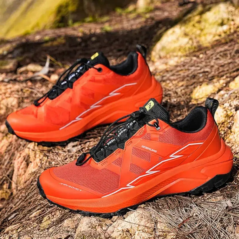 Chaussure de marche terrain escarpé robuste