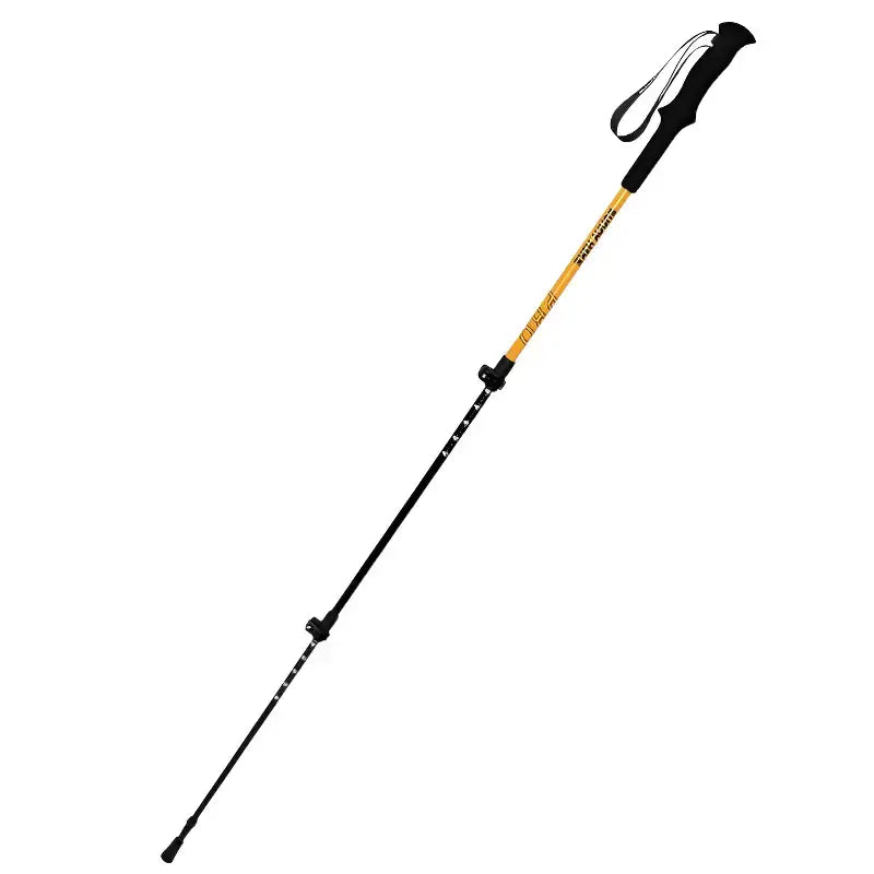 Bâton randonnée montagne aluminium robuste