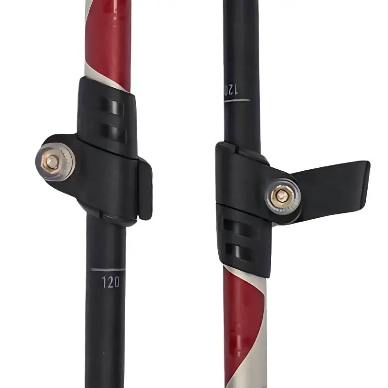 Bâton marche nordique tous terrains robuste