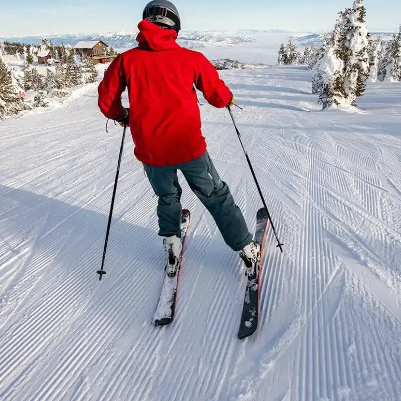 Bâton marche nordique sport aluminium