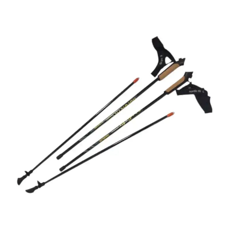 Bâton marche nordique composite mixte