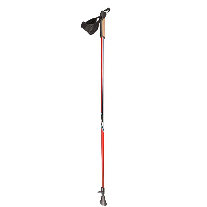 Bâton marche nordique sport aluminium
