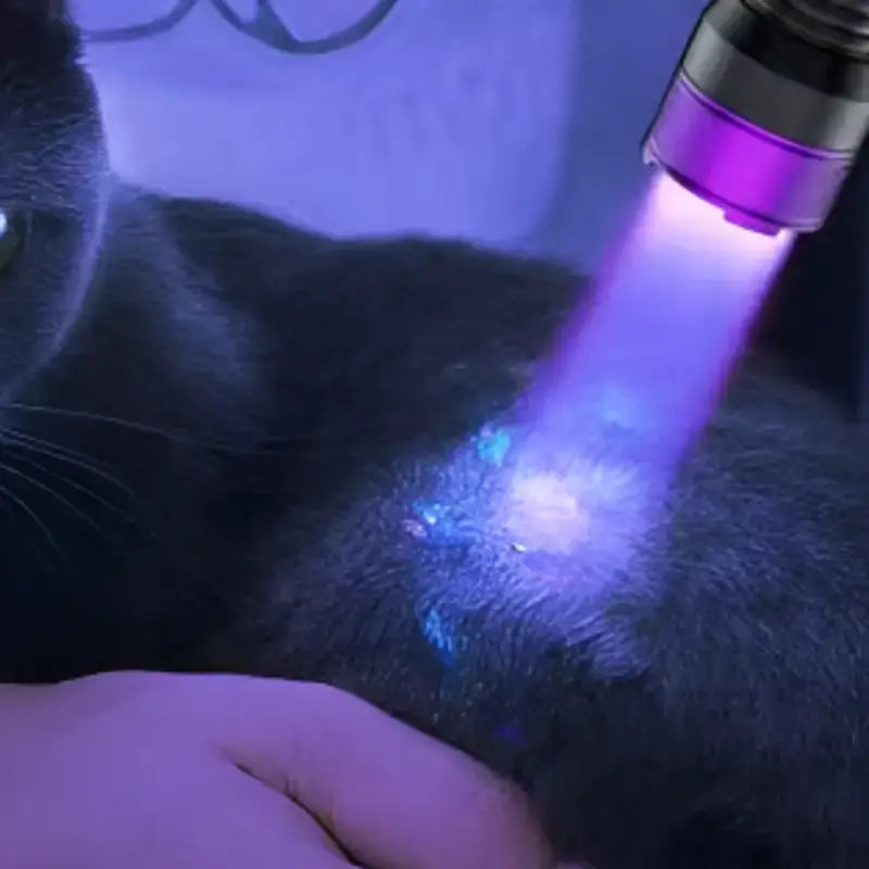 Lampe torche uv 365nm détection spécialisée