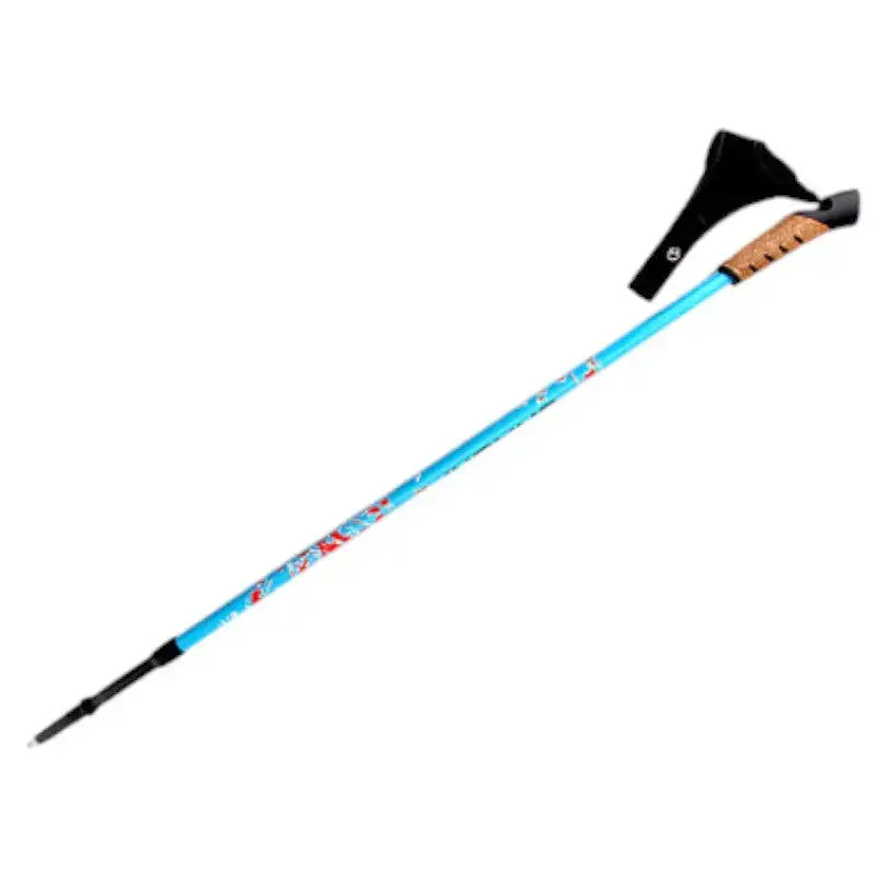 Bâtons de marche nordique