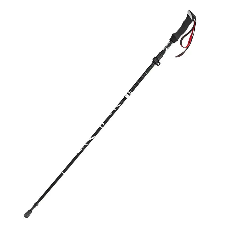 Bâton de randonnée compact aventure