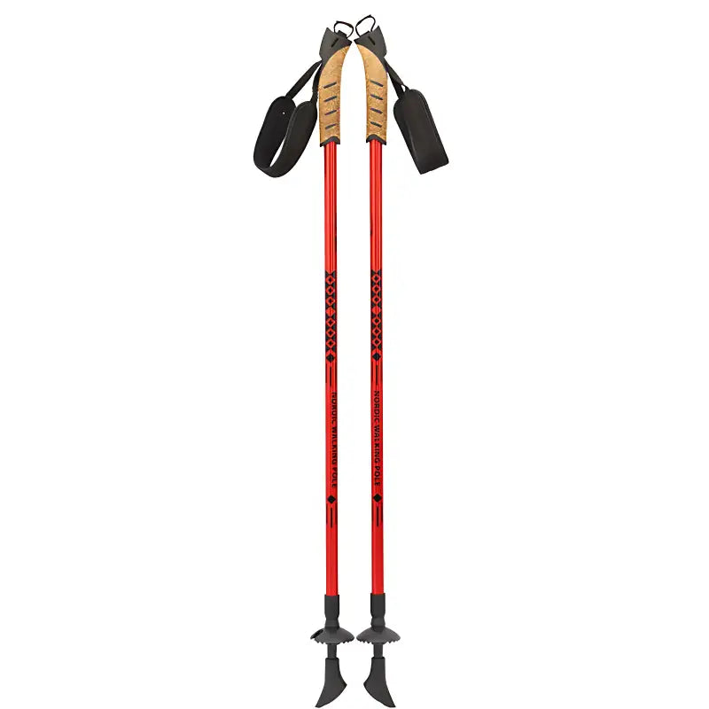 Bâton marche nordique randonnée aluminium 6061