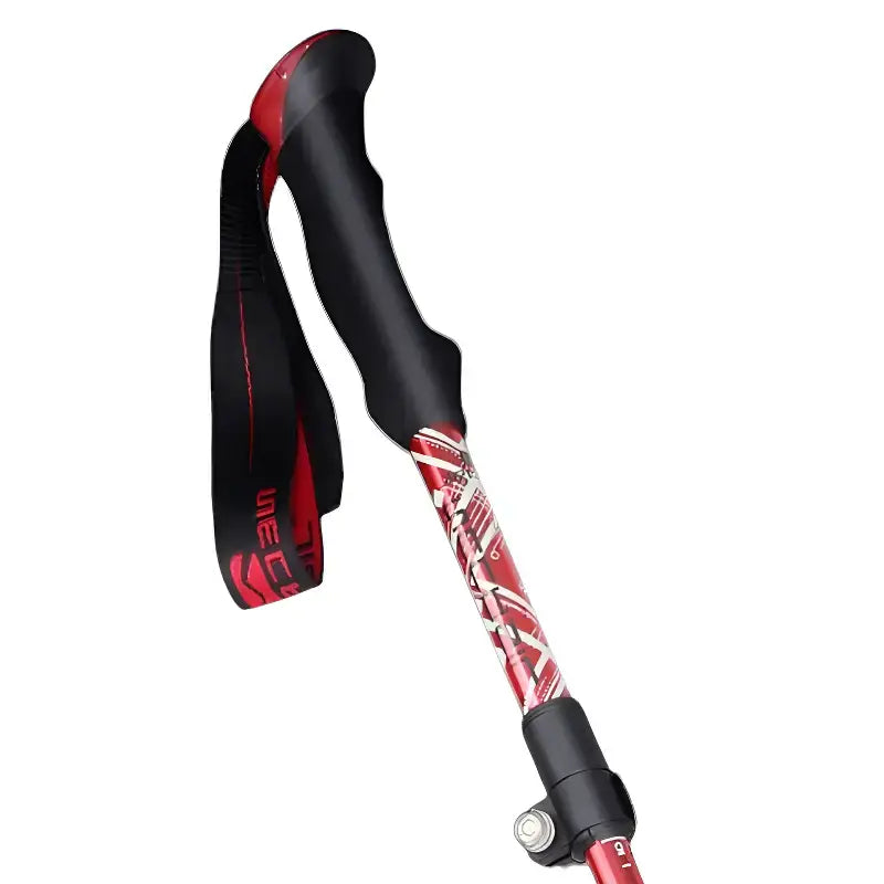 Bâtons de trail bivouac aventure