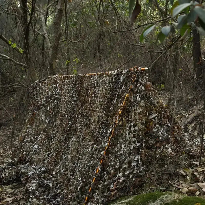 Filet camouflage forêt tempérée militaire