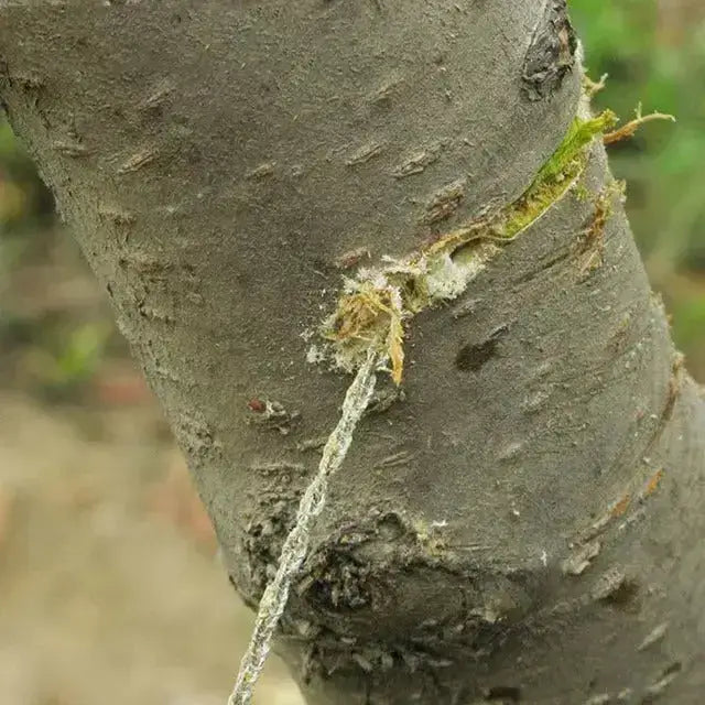 Kit survie outils basiques outdoor