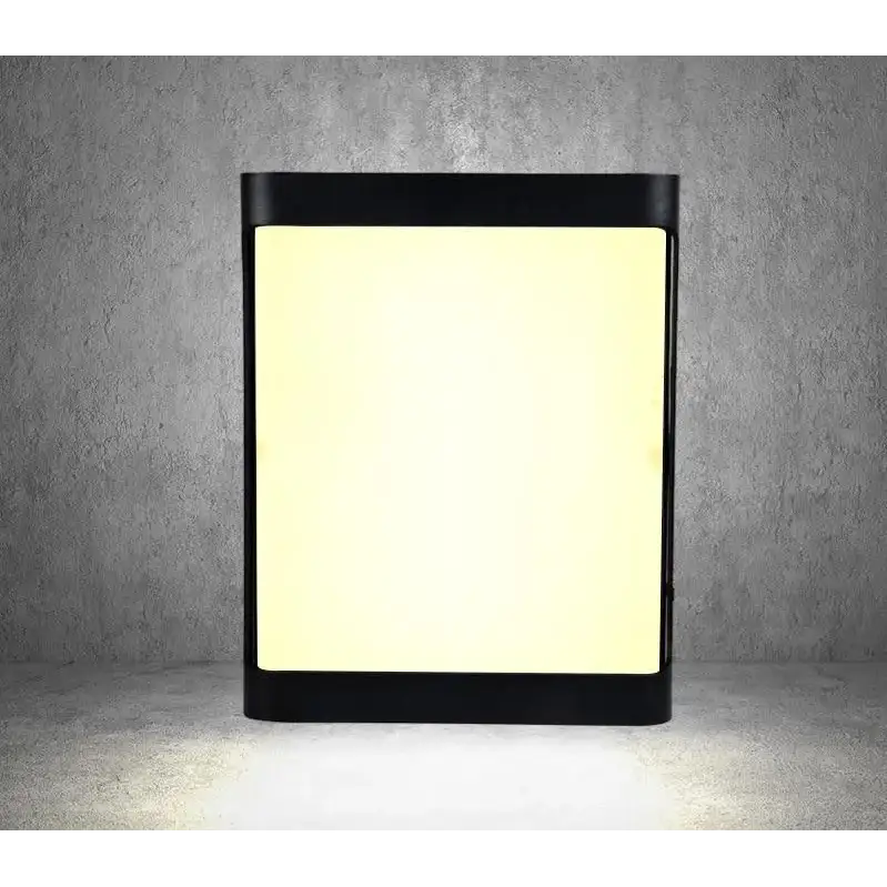 Lampe solaire murale décorative extérieur