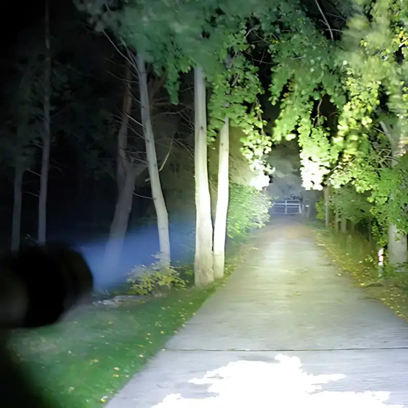 Lampe torche solaire rechargeable 5w