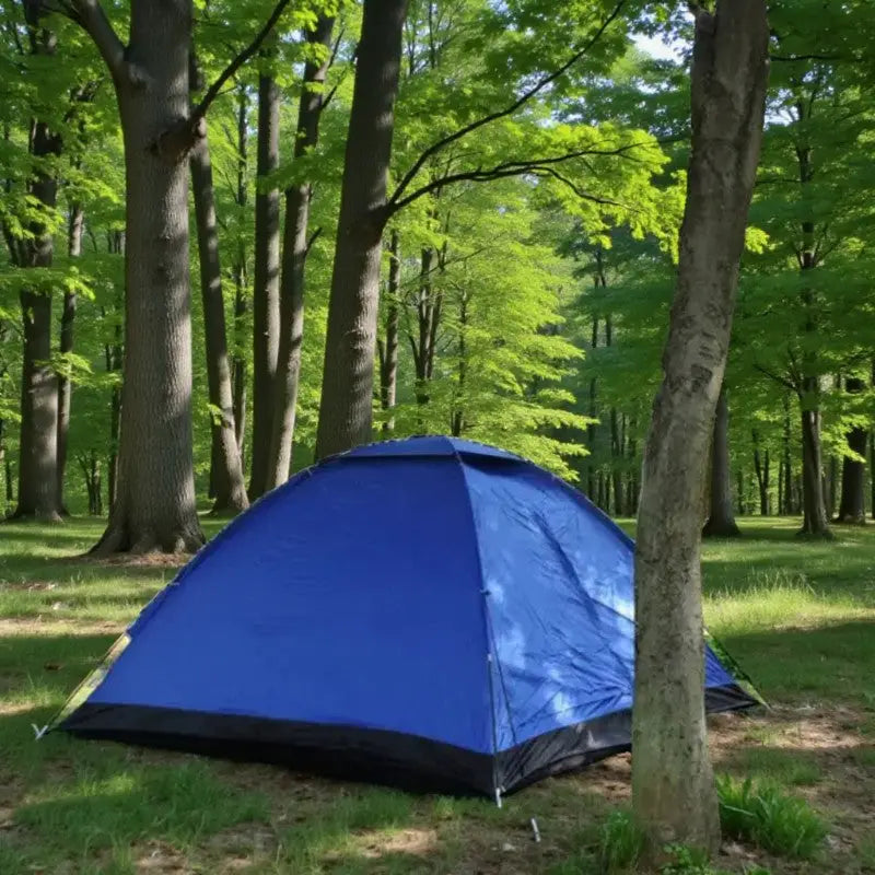 Tente randonnée 2 places grande taille camping